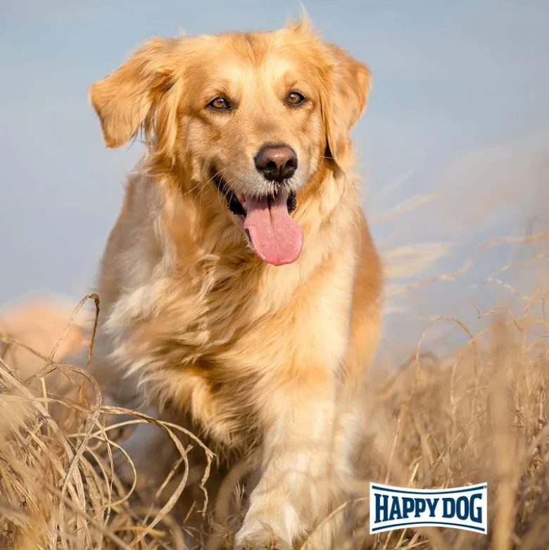 Happy Dog NaturCroq Lam & Ris