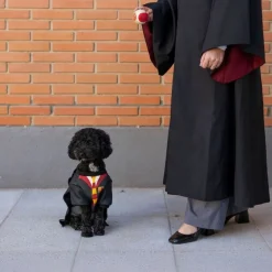 Harry Potter hundekostume