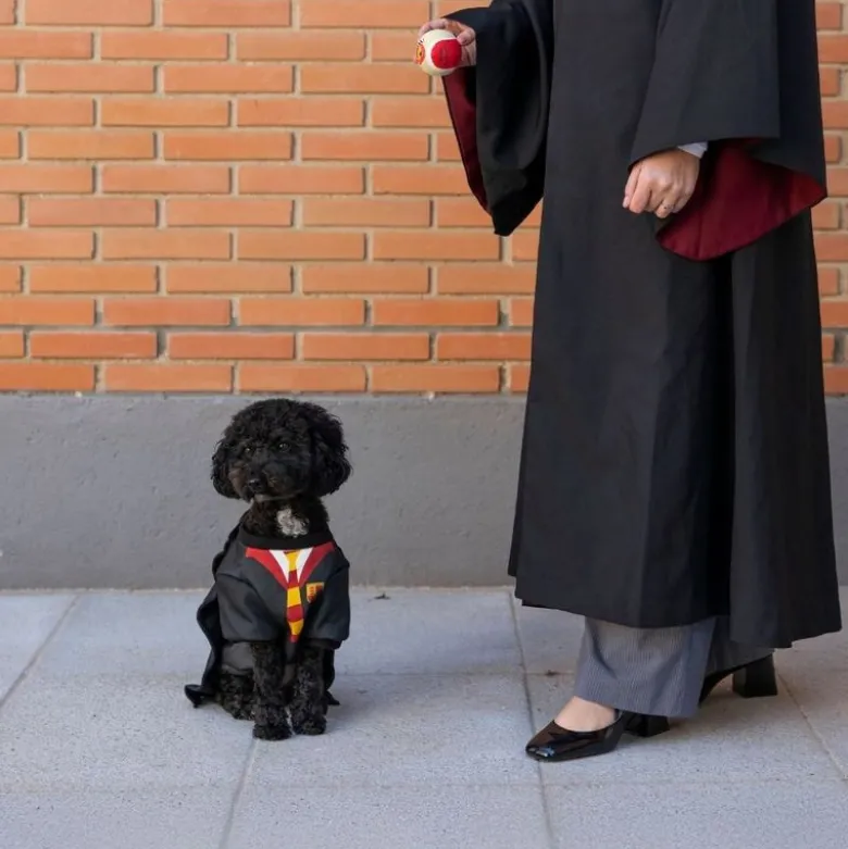 Harry Potter hundekostume