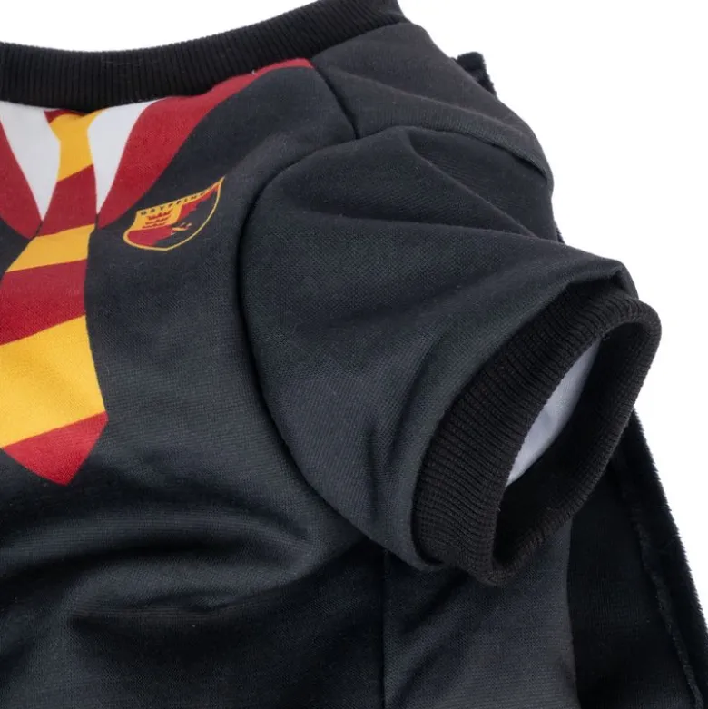 Harry Potter hundekostume