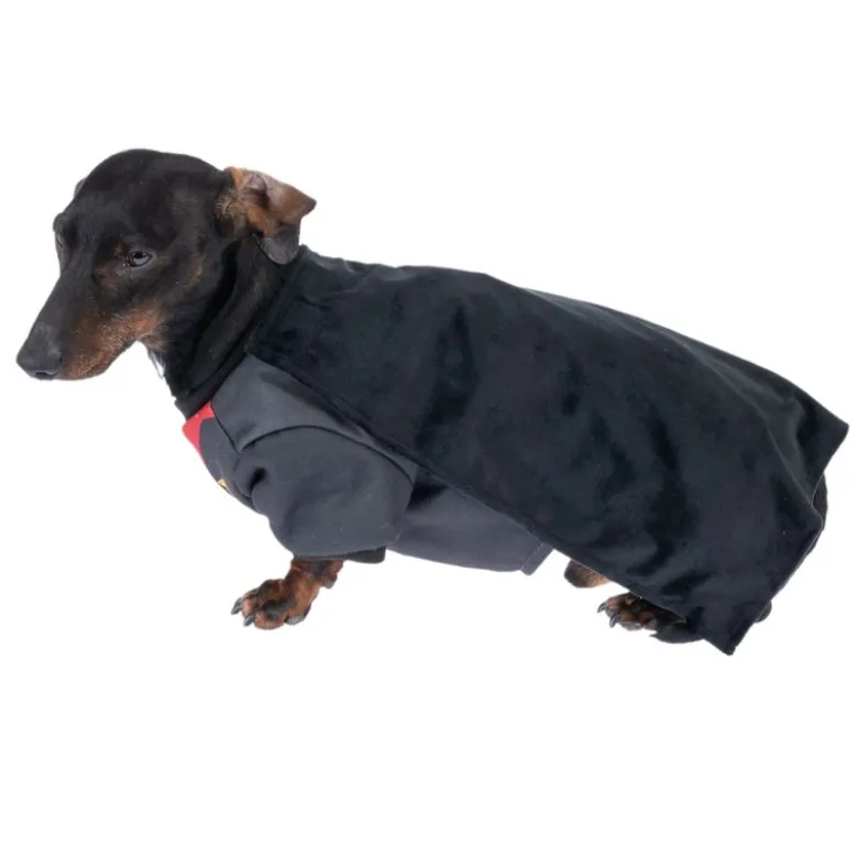 Harry Potter hundekostume