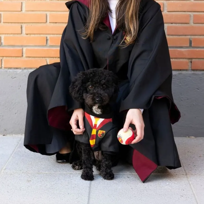Harry Potter hundekostume