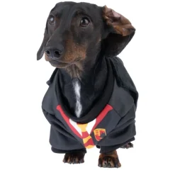 Harry Potter hundekostume