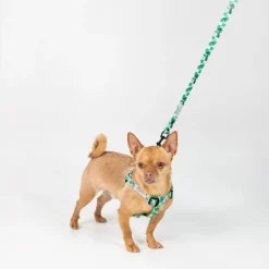 Harry Potter hundesnor Slytherin