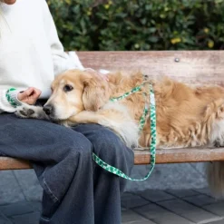 Harry Potter hundesnor Slytherin