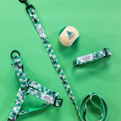 Harry Potter Slytherin sele, grøn