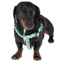 Harry Potter Slytherin sele, grøn