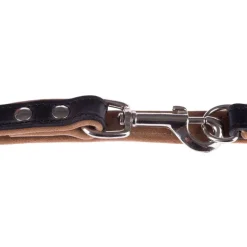 Heim Stars hundesnor, 200 cm