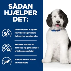 Hill's Prescription Diet c/d Multicare Urinary Care - Kylling