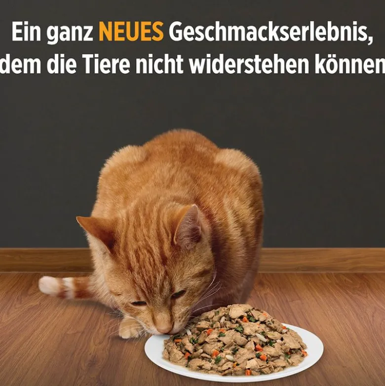 Hill's Prescription Diet c/d Urinary Care Ragout - kylling og grøntsager