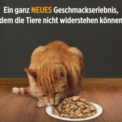 Hill's Prescription Diet c/d Urinary Care Ragout - kylling og grøntsager