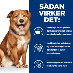 Hill’s Prescription Diet Derm Complete med ris og æg