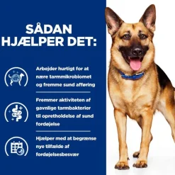 Hill's Prescription Diet Gastrointestinal Biome med Kylling