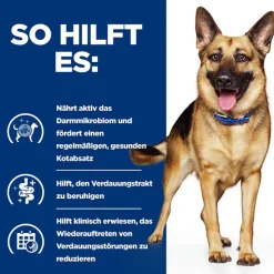 Hill's Prescription Diet Gastrointestinal Biome Ragout med kylling