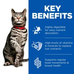 Hill's Prescription Diet i/d Digestive Care med laks