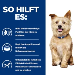 Hill's Prescription Diet k/d Kidney Care Ragout med kylling