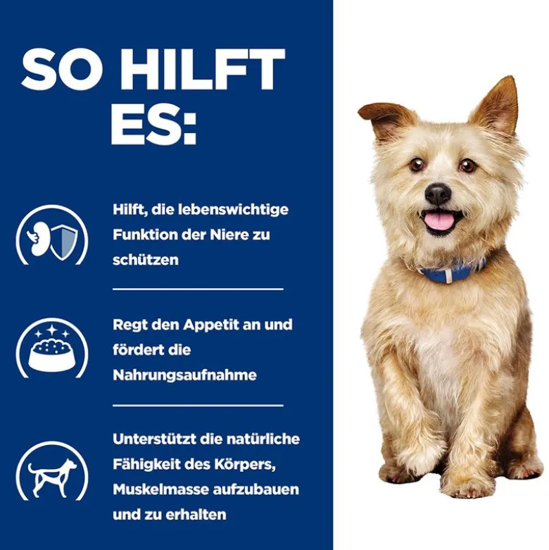 Hill's Prescription Diet k/d Kidney Care Ragout med kylling