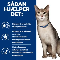 Hill's Prescription Diet k/d Kidney Care med laks