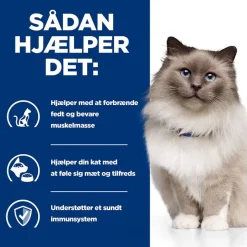 Hill's Prescription Diet r/d Weight Loss med kylling