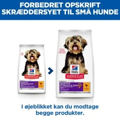 Hill's Science Plan Adult 1+ Sensitive Stomach & Skin Small & Mini med kylling