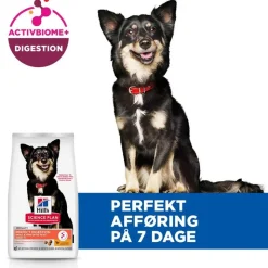 Hill's Science Plan Perfect Digestion Adult 1+ Small & Mini med kylling