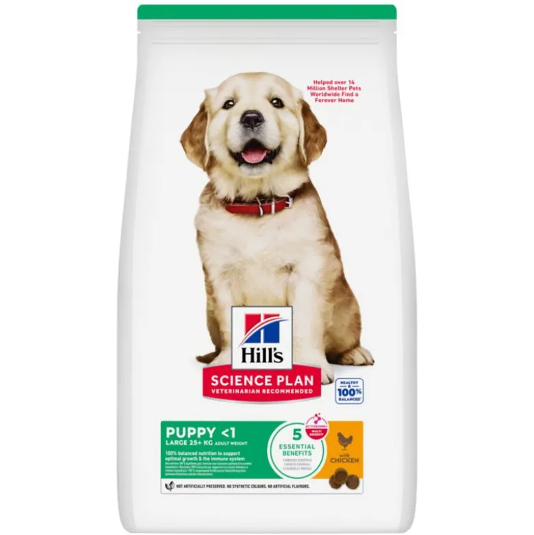 Hill's Science Plan Puppy <1 Large med kylling