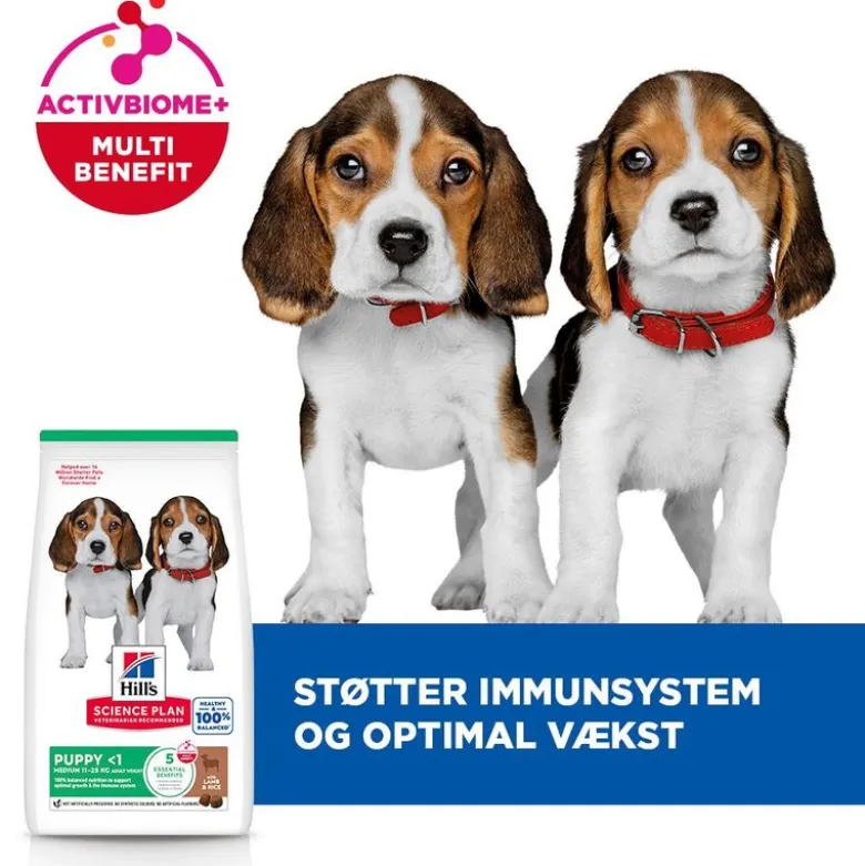 Hill's Science Plan Puppy <1 Medium med lam & ris