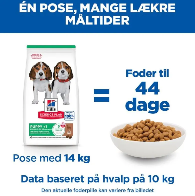 Hill's Science Plan Puppy <1 Medium med lam & ris