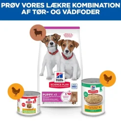 Hill's Science Plan Puppy Small & Mini Lam & Ris