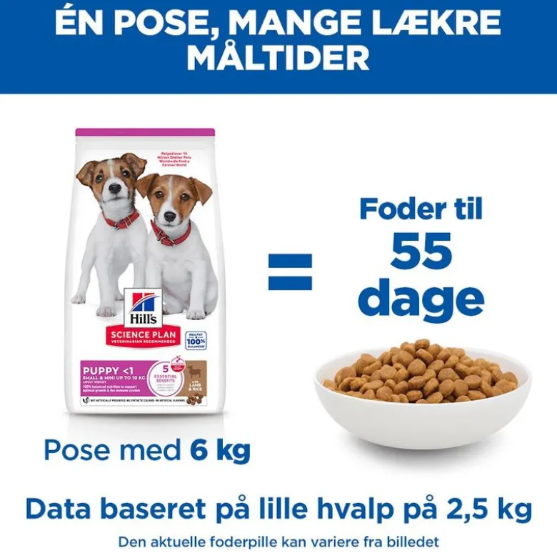 Hill's Science Plan Puppy Small & Mini Lam & Ris