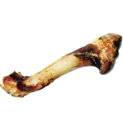 Hjorteknogle