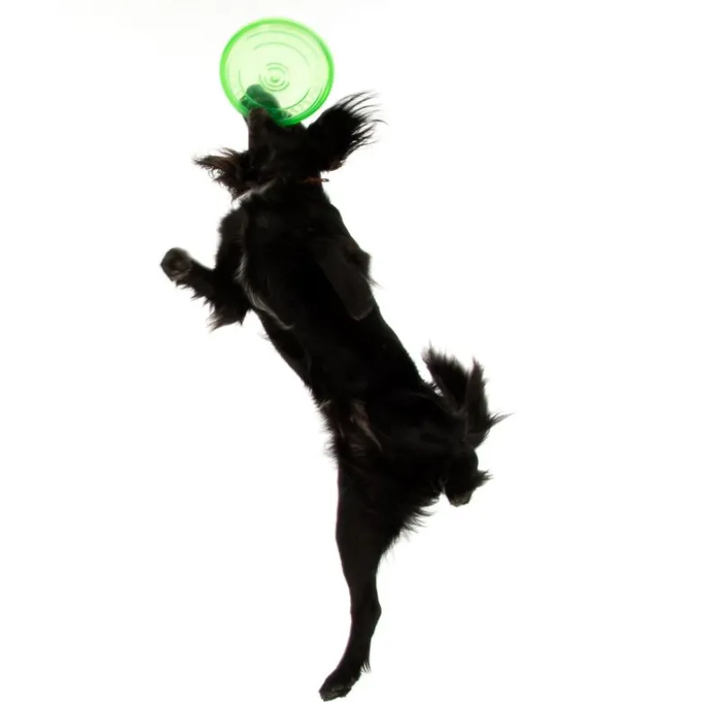 Hundefrisbee af TPE