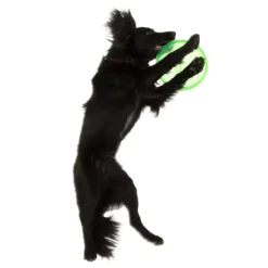 Hundefrisbee af TPE