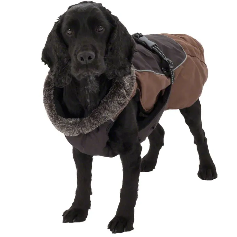 Hundejakke Grizzly II