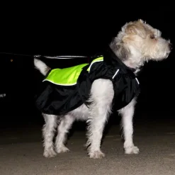 Hunde-regnjakke Illume Nite Neon