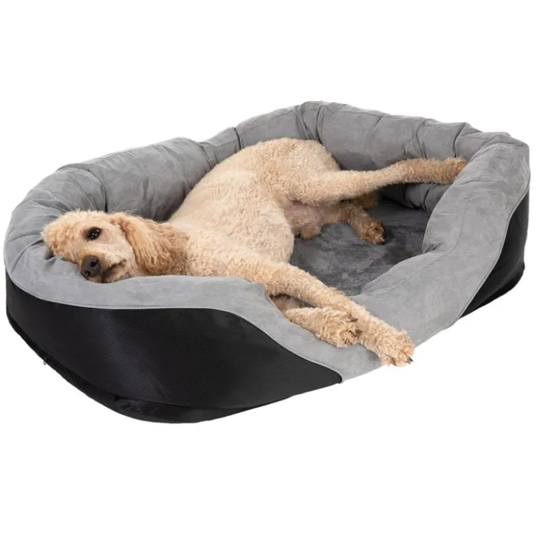 Hundeseng Lazy