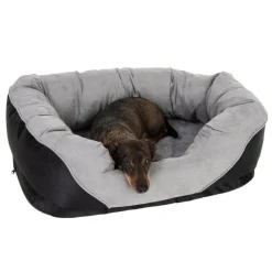 Hundeseng Lazy