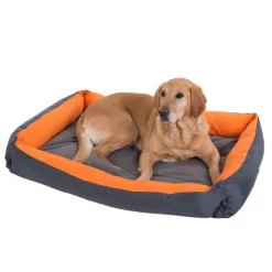 Hundeseng Variabel orange