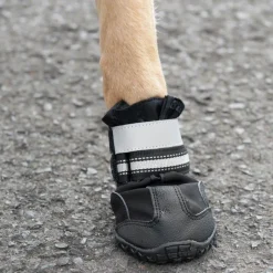 Hundesko S & P Boots