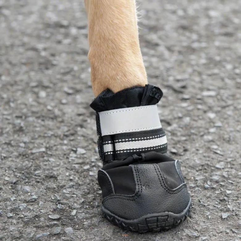 Hundesko S & P Boots