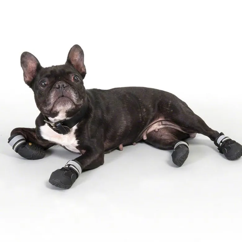 Hundesko S & P Boots