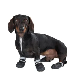 Hundesko S & P Boots
