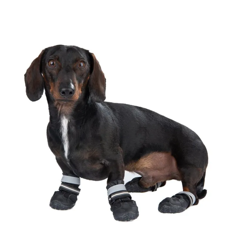 Hundesko S & P Boots