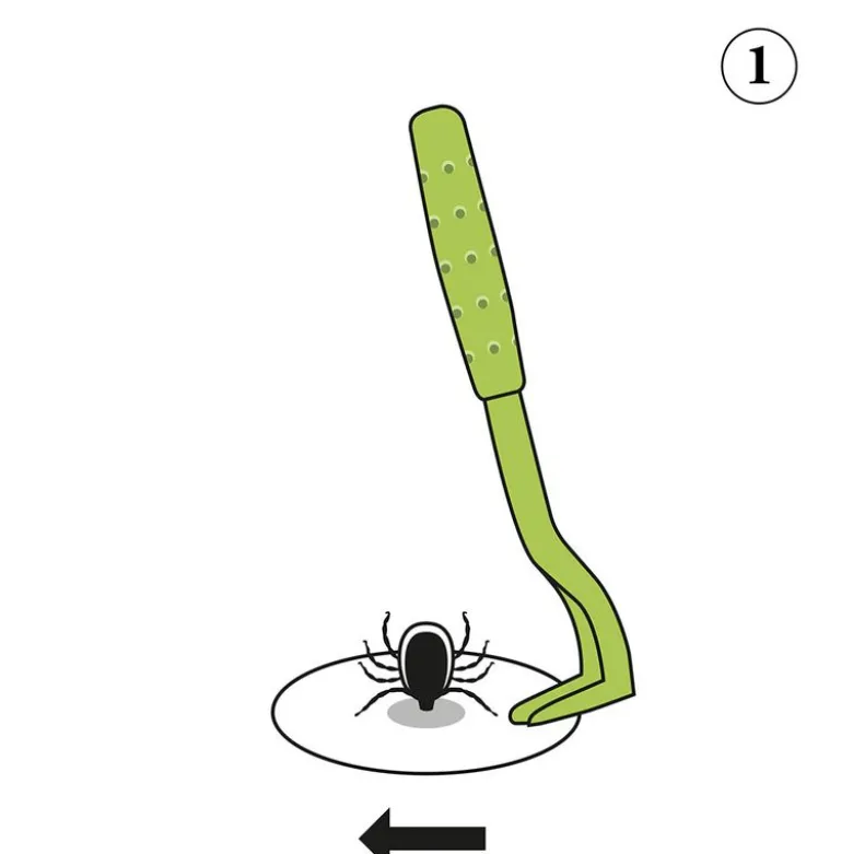 HUNTER Ajka Flåttang