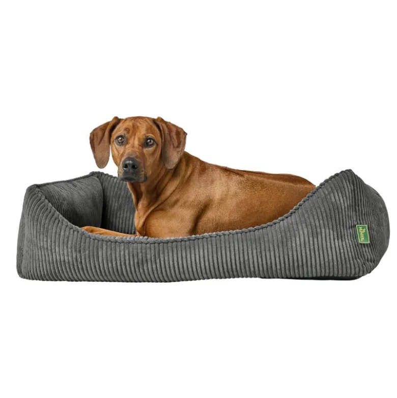 Hunter ergonomisk hundeseng Corbie