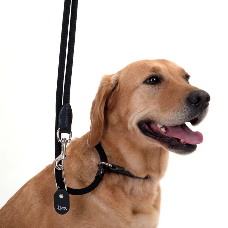 HUNTER Freestyle Retrieverline