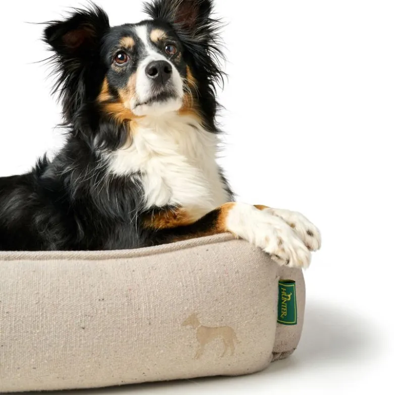 HUNTER Genbrugshundesofa Belluno