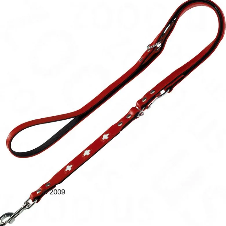 HUNTER hundesnor Swiss