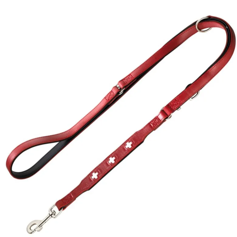 HUNTER hundesnor Swiss