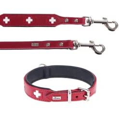 HUNTER hundesnor Swiss